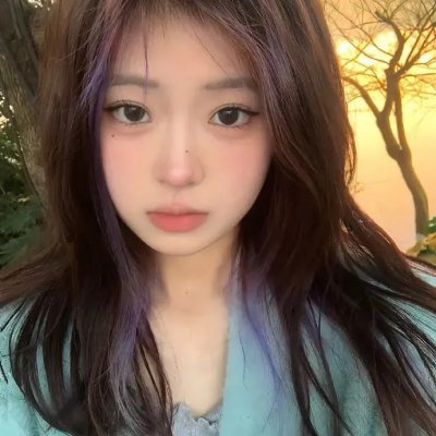 狐狸捕手